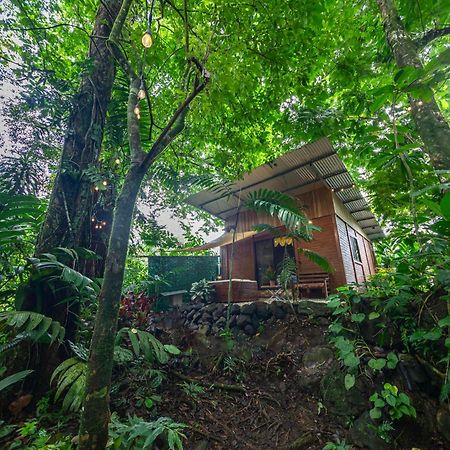 Ferienwohnung The Frog House La Fortuna Exterior foto