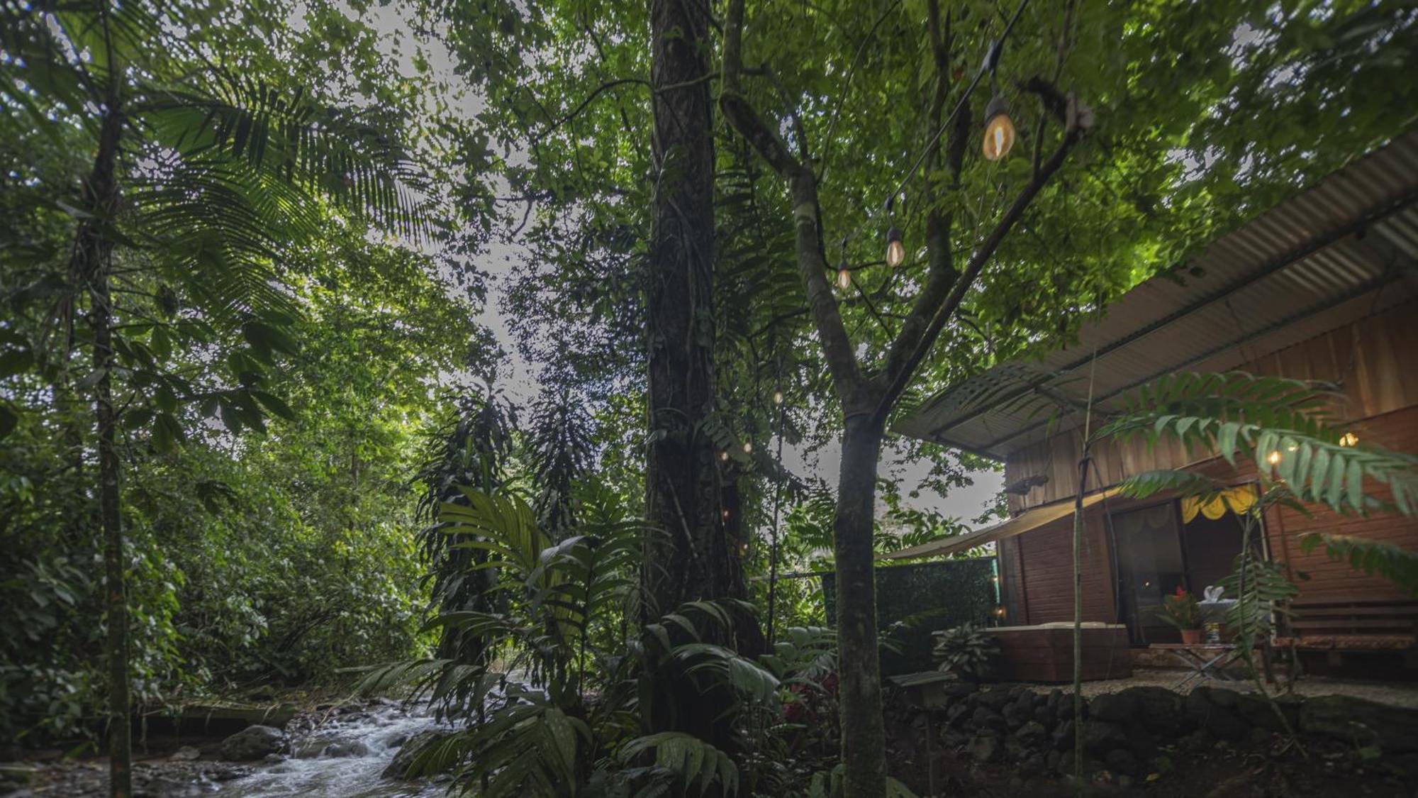 Ferienwohnung The Frog House La Fortuna Exterior foto