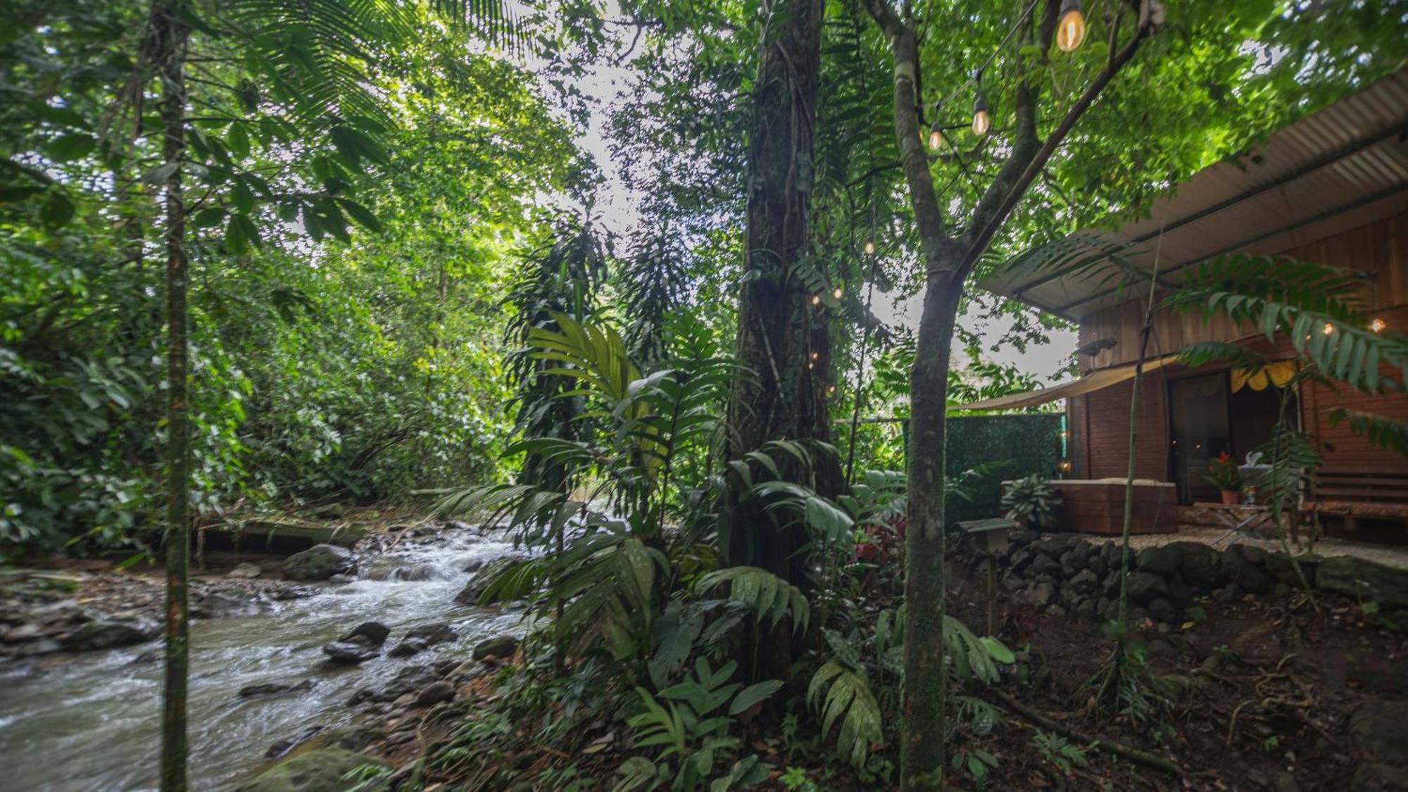 Ferienwohnung The Frog House La Fortuna Exterior foto