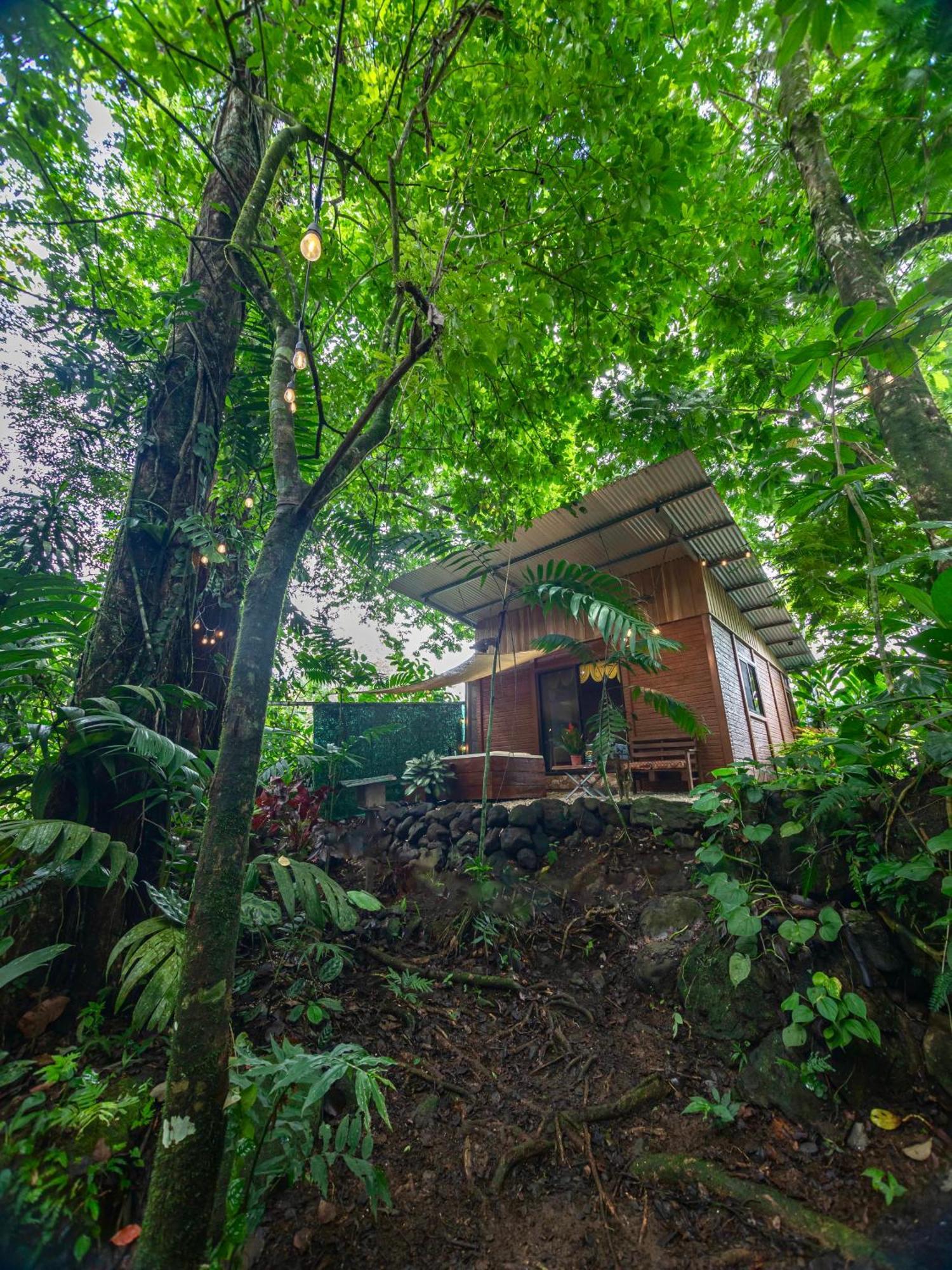 Ferienwohnung The Frog House La Fortuna Exterior foto